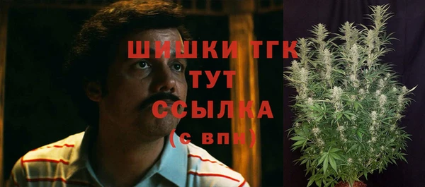 дмт Корсаков