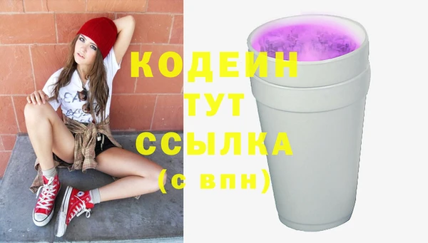 индика Костерёво