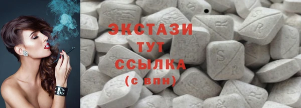 индика Костерёво
