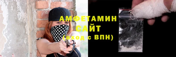 индика Костерёво