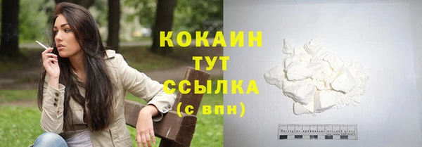 индика Костерёво