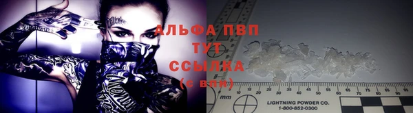 индика Костерёво