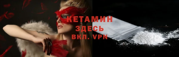 индика Костерёво