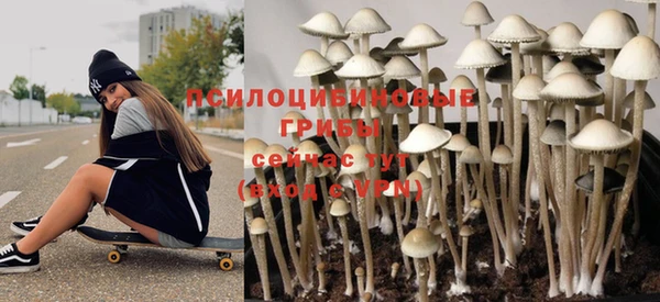 индика Костерёво