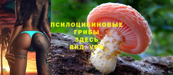 индика Костерёво