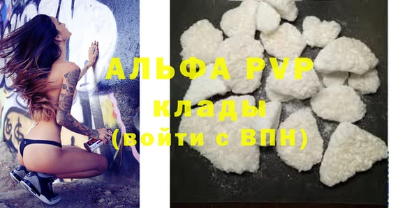 индика Костерёво