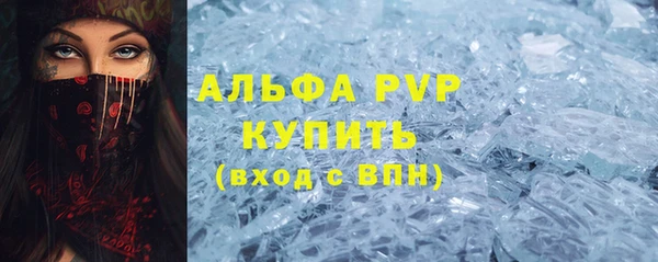 индика Костерёво